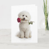 Bichon Frise Valentine – Zoete Toewijding Kaart (Voorkant)