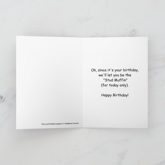 Bichon Frise Verjaardag Kaart (Binnen)