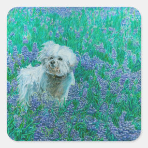 Bichon Frise Vierkante Sticker
