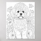 Bichon Frise volwassen kleuring Poster (Voorkant)
