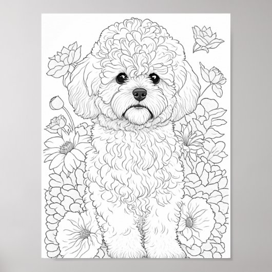 Bichon Frise volwassen kleuring Poster (Voorkant)