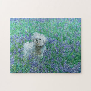 Bichon in Bluebonnets Legpuzzel