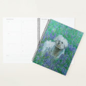 Bichon in Bluebonnets Wenskaart Planner (Display)
