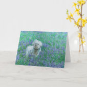 Bichon in het Bluebonnets Wenskaart Kaart (Gele Bloem)
