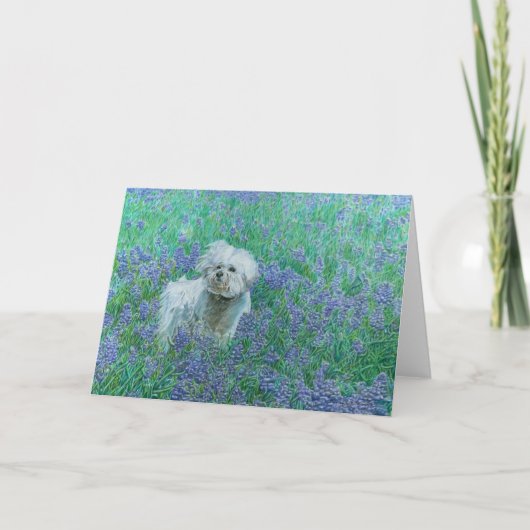 Bichon in het Bluebonnets Wenskaart Kaart (Voorkant)
