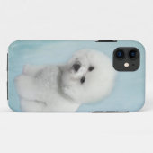 Bichon iPhone 5 Hoesje (Achterkant (horizontaal))