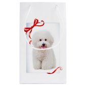Bichon-kerstcadeau Klein Cadeauzakje (Achterkant)