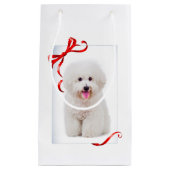 Bichon-kerstcadeau Klein Cadeauzakje (Voorkant)