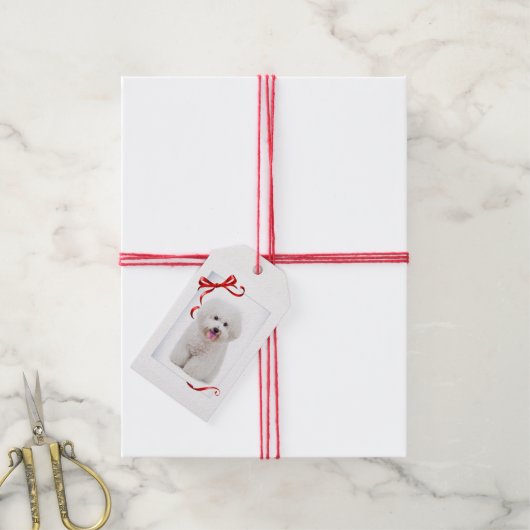 Bichon-kerstcadeaus voor kerstcadeaus cadeaulabel (Met Touw)