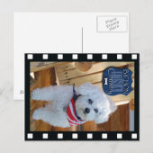 Bichon-land met negatief lijst briefkaart (Voorkant / Achterkant)