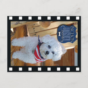 Bichon-land met negatief lijst briefkaart