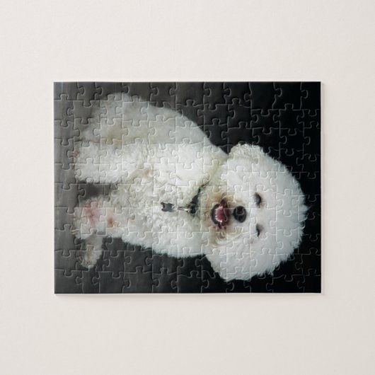 Bichon Legpuzzel (Horizontaal)