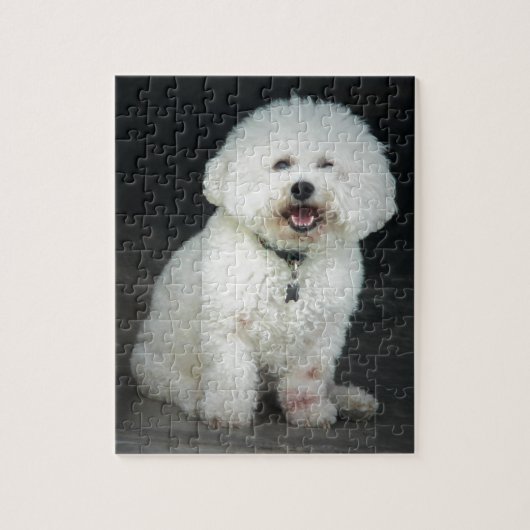 Bichon Legpuzzel (Verticaal)