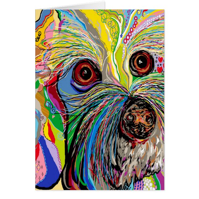 Bichon. . .  Man (Voorkant)