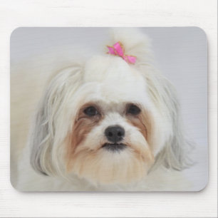 bichon-opkomst met een roze boog in het haar muismat