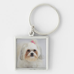 bichon-opkomst met een roze boog in het haar sleutelhanger