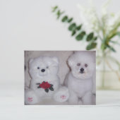 Bichon-opkomst met witte teddybeer. briefkaart (Staand voorkant)