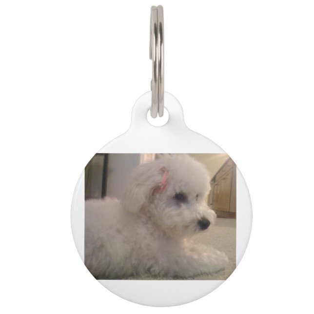 Bichon-oplegger Huisdierpenning (Voorkant)