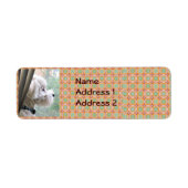 Bichon Poodle Retouradreslabels Etiket (Voorkant)