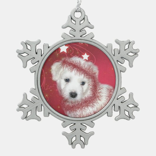 Bichon-poppenkast Tin Sneeuwvlok Ornament (Voorkant)