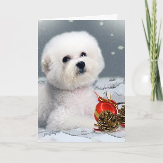 Bichon Seizoen Groeten Feestdagen Kaart (Voorkant)