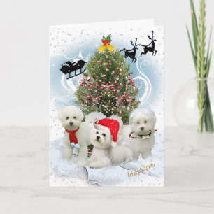 Bichon Snowy Christmas Day Cards Feestdagen Kaart