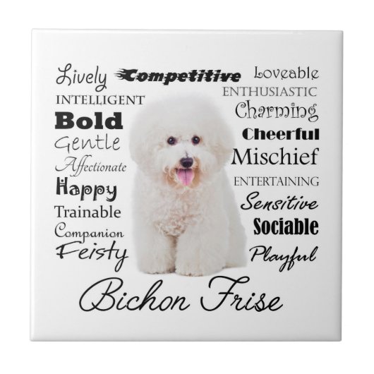 Bichon Traits Tile Tegeltje (Voorkant)
