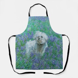 Bichon tussen blauwe lupinen schort