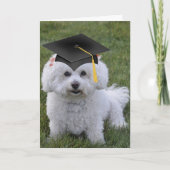Bichon Zwart Pet Afstuderen Kaart (Voorkant)