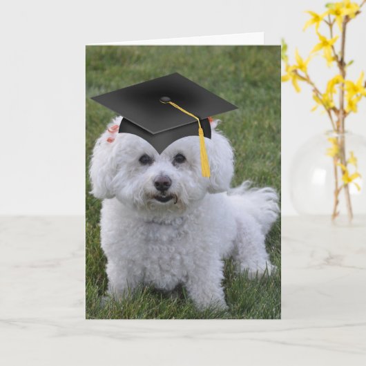 Bichon Zwart Pet Afstuderen Kaart (Gele Bloem)