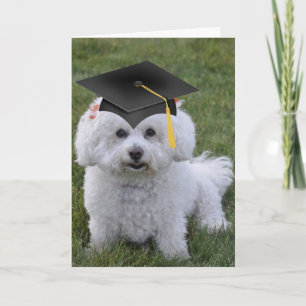 Bichon Zwart Pet Afstuderen Kaart