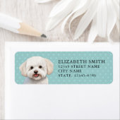 Bichons Frise retouradreslabel Etiket (Insitu)