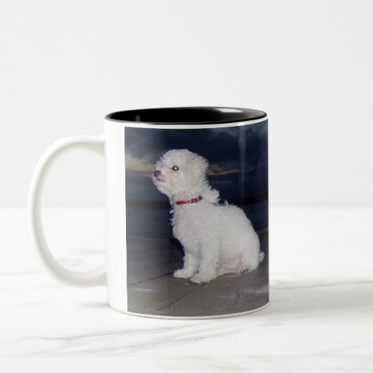 Bichons in Dusk Tweekleurige Koffiemok (Links)