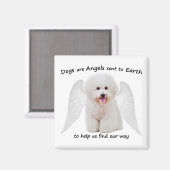 Bichons zijn Angels Magnet (Voorkant / Achterkant)