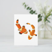 Bickering Clownfish Briefkaart (Staand voorkant)