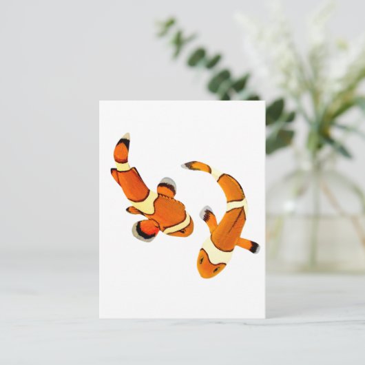 Bickering Clownfish Briefkaart (Staand voorkant)