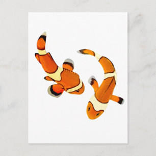 Bickering Clownfish Briefkaart