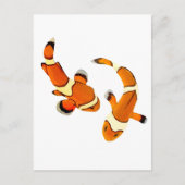 Bickering Clownfish Briefkaart (Voorkant)
