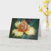 Bicolor Iris (bruin en geel) Kaart (Gele Bloem)