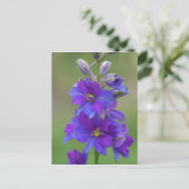 Bicolor Larkspur Briefkaart (Staand voorkant)