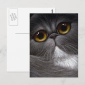 BICOLOR PERSIAN CAT-Briefkaart Briefkaart (Voorkant / Achterkant)