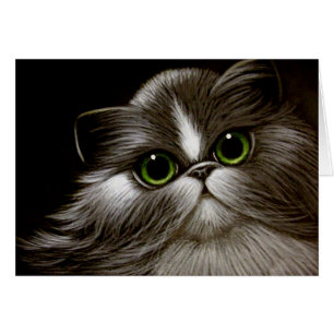 BICOLOR PERSIAN CAT-ENIGE OCCASION Card