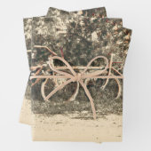 Bicycle  Antiek oud rood beige Rustig Inpakpapier Vel (In situ)