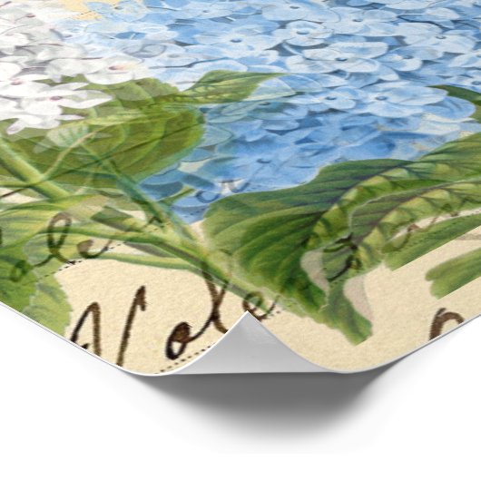 Bicycle Blue Hydrangeas Paris Art Poster (Hoek)