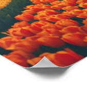 Bicycle through Tulip Fields – Dutch Countryside Poster (Hoek)