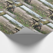 BICYCLES CADEAUPAPIER (Hoek)