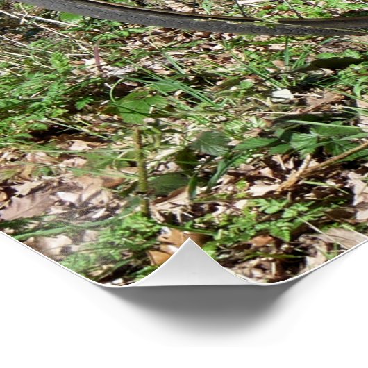 BICYCLES POSTER (Hoek)