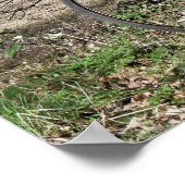 BICYCLES POSTER (Hoek)