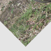 BICYCLES TISSUEPAPIER (Detail)