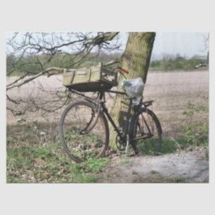 BICYCLES TISSUEPAPIER